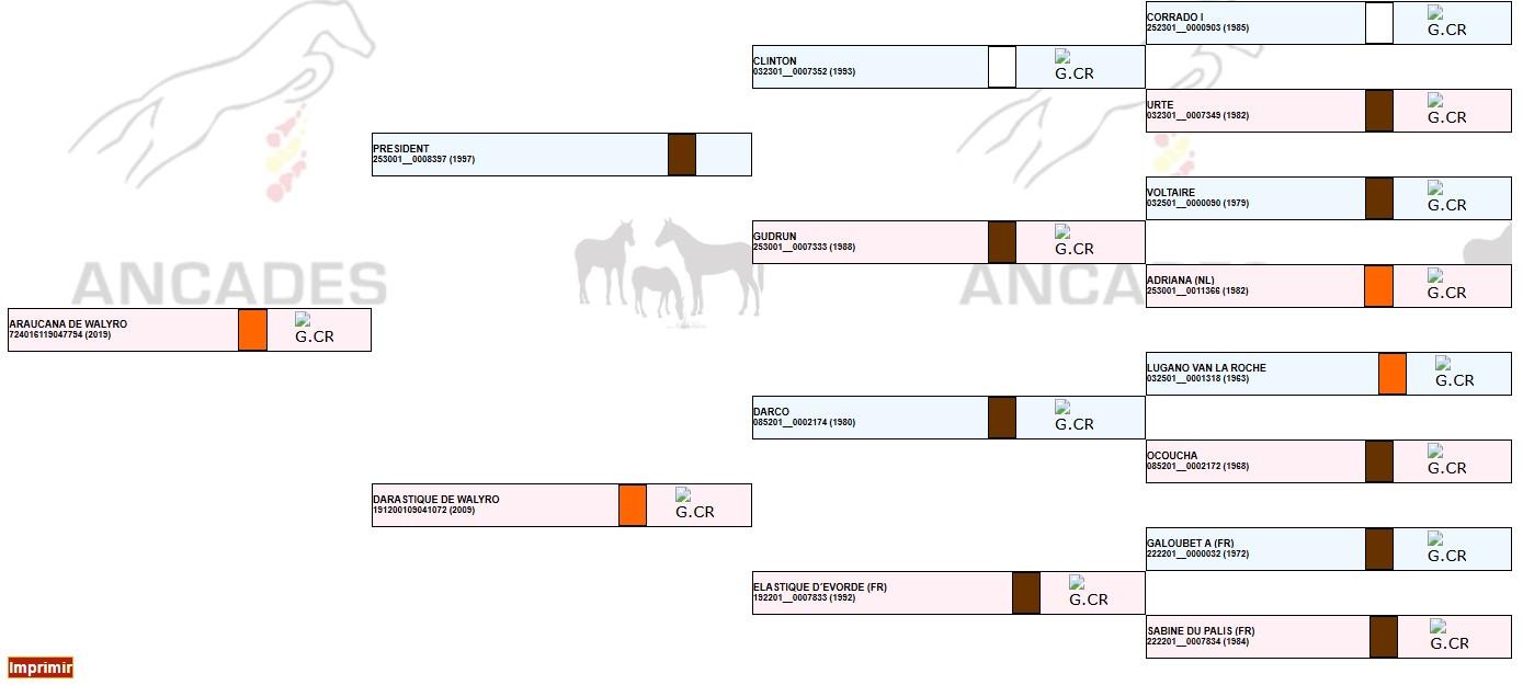 Family tree