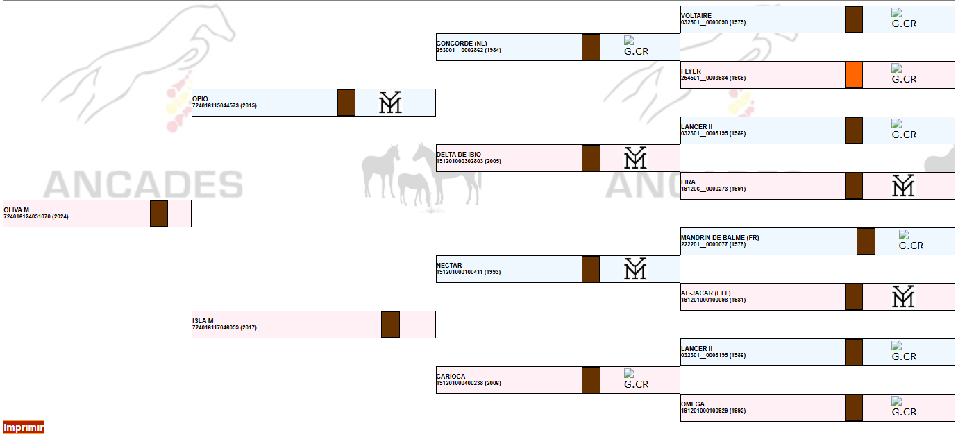 Family tree