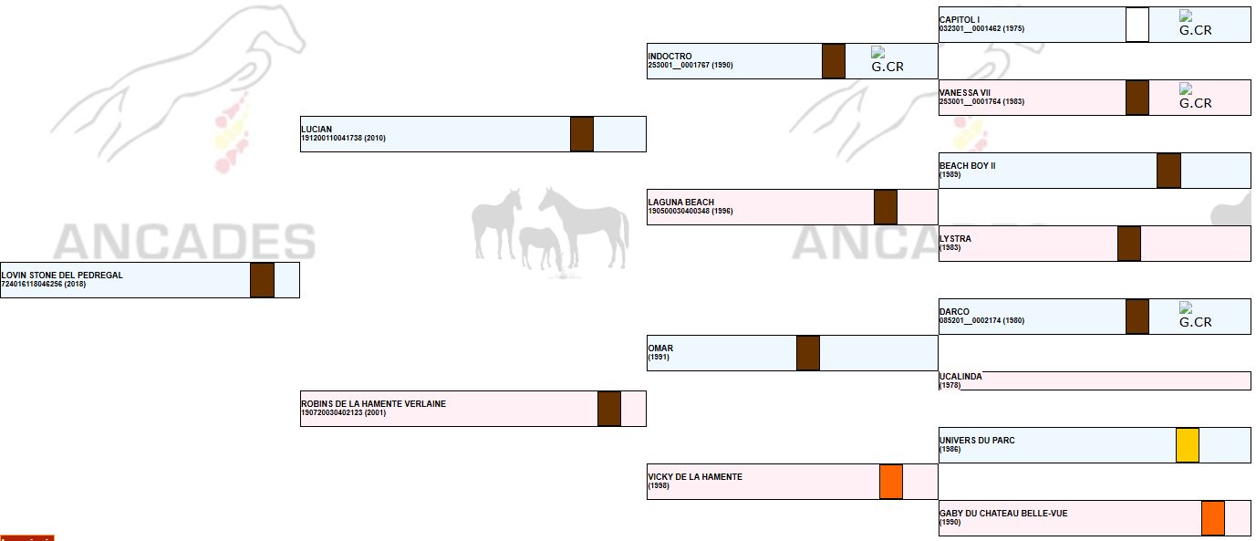 Family tree