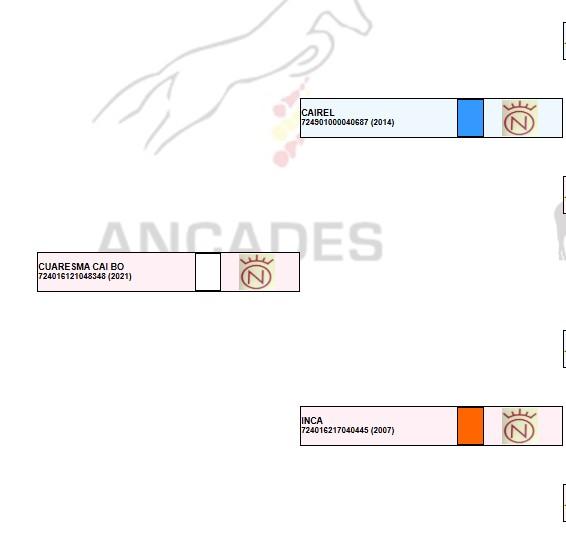 Family tree