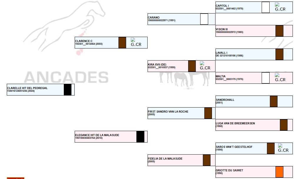Family tree